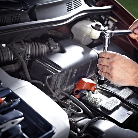 Vehicle service exerts in Geelong